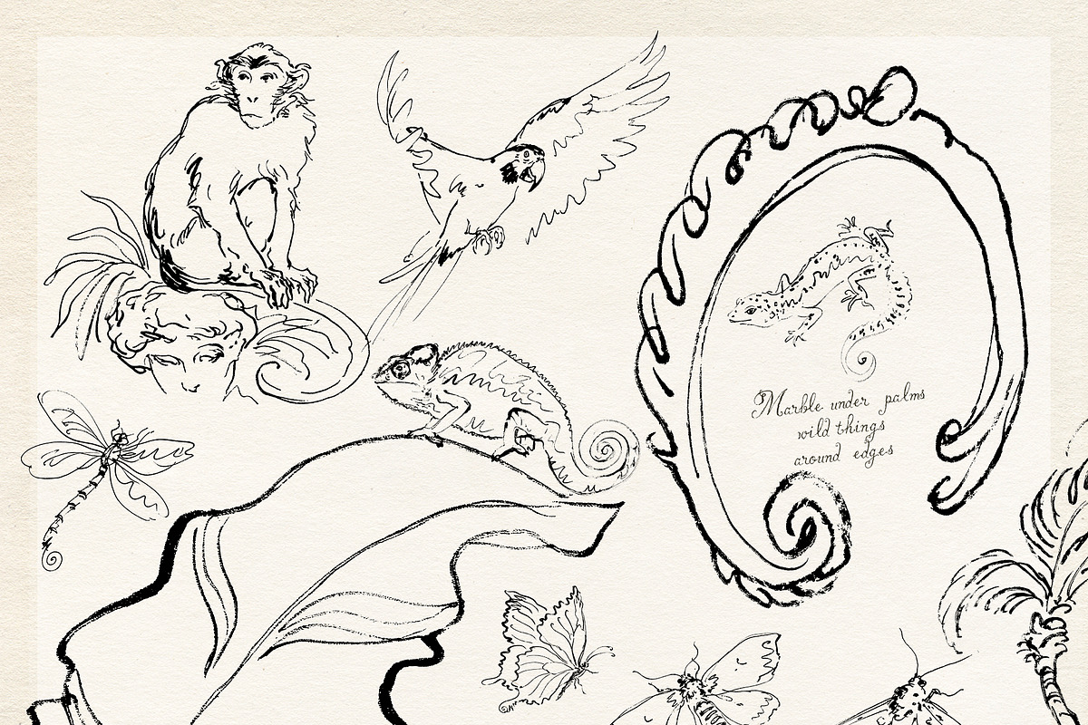 Jungle Saints: Tropical Line Art, an Object Illustration by Purple (Photo 5 of 15)