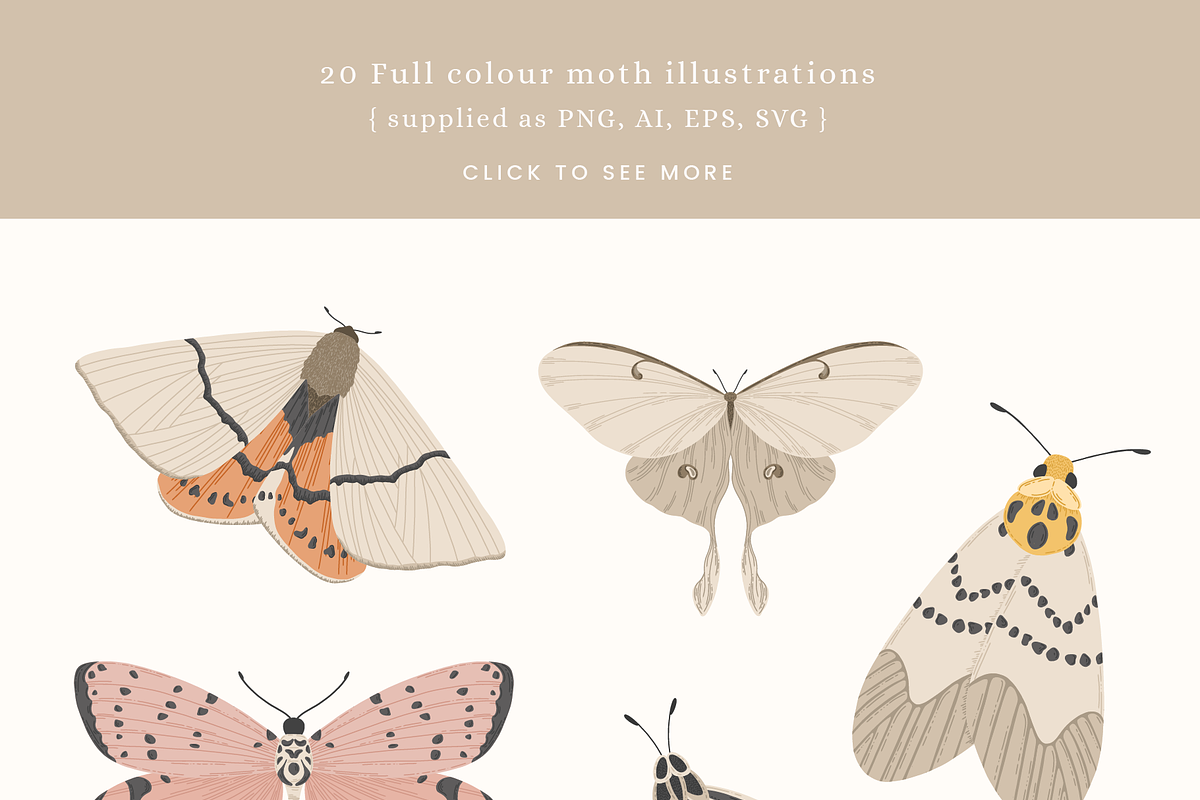 Moths Vector Illustrations, an Illustration by Emma Webb Studio
