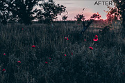 5 Dark tones presets for Lightroom, a Preset Add-On by Elijah (Thumbnail 11 of 16)