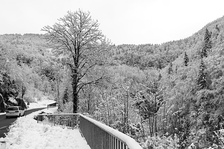 Winter car trip in Jura. Black white, a Transportation Photo by Elena Dijour Photography