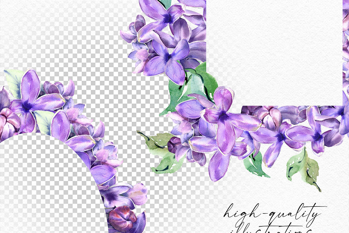 Sale 50% Lilac Blooming Spring, an Illustration by Olga Koelsch (Photo 4 of 9)