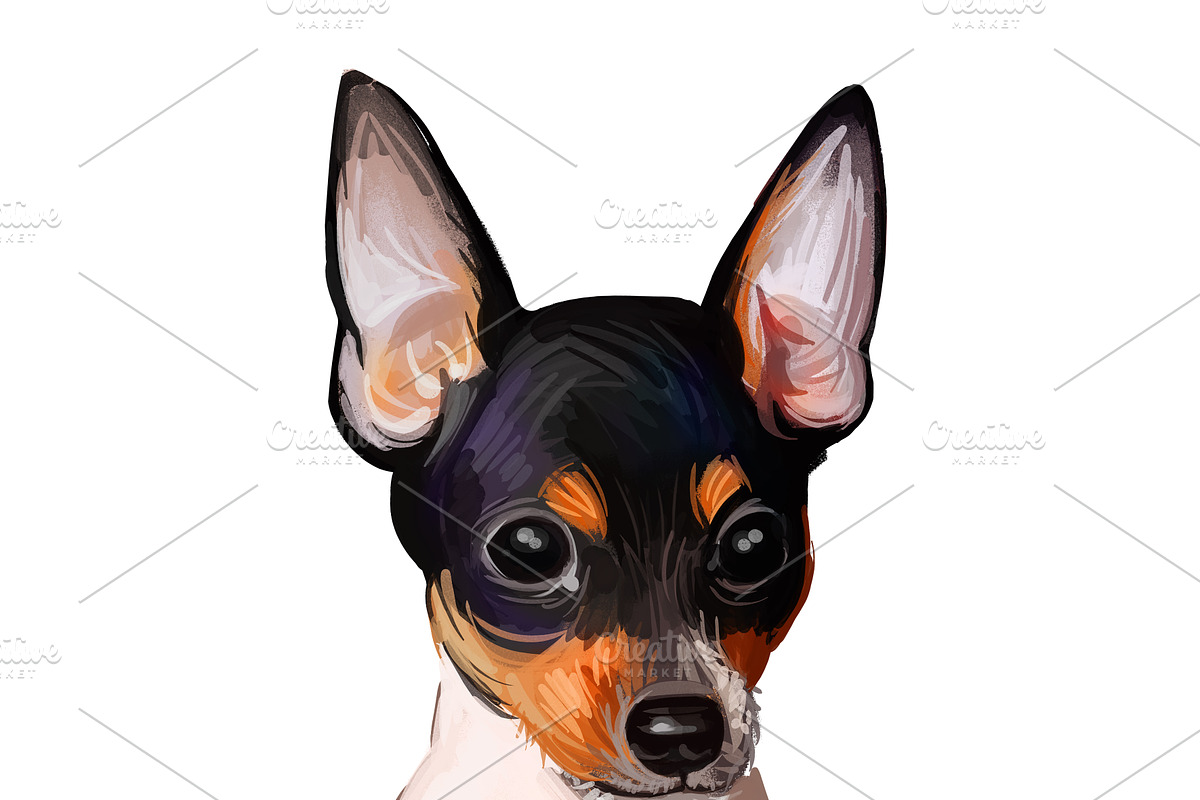55 Dog Breeds Popular in USA, an Animal Illustration by Dneprstock (Photo 8 of 14)