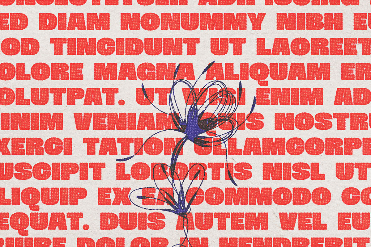 Kander – Bold Typeface, a Sans Serif Font by Issam Type (Photo 6 of 17)