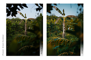 Travel Blogger LR - Presets, a Preset Add-On by khoai_tây (Thumbnail 8 of 11)