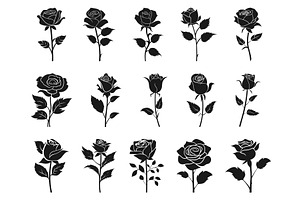 Rose Silhouettes. Roses Blooms