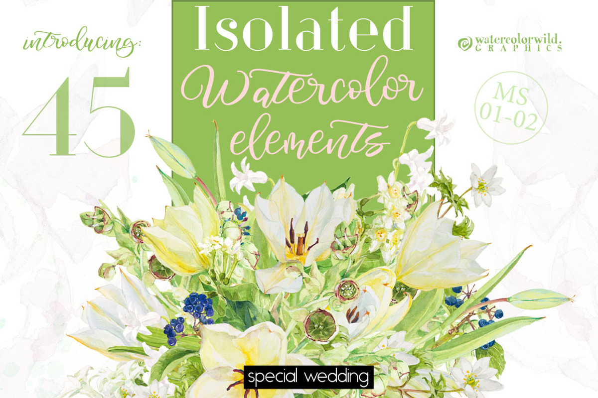 BUNDLE WHITE FLOWERS-85%, an Illustration by watercolorwild.graphics (Photo 5 of 12)