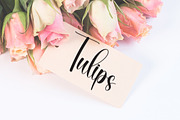 Youngish | Script Font, a Handwritten Font by Scratchones (Thumbnail 5 of 9)