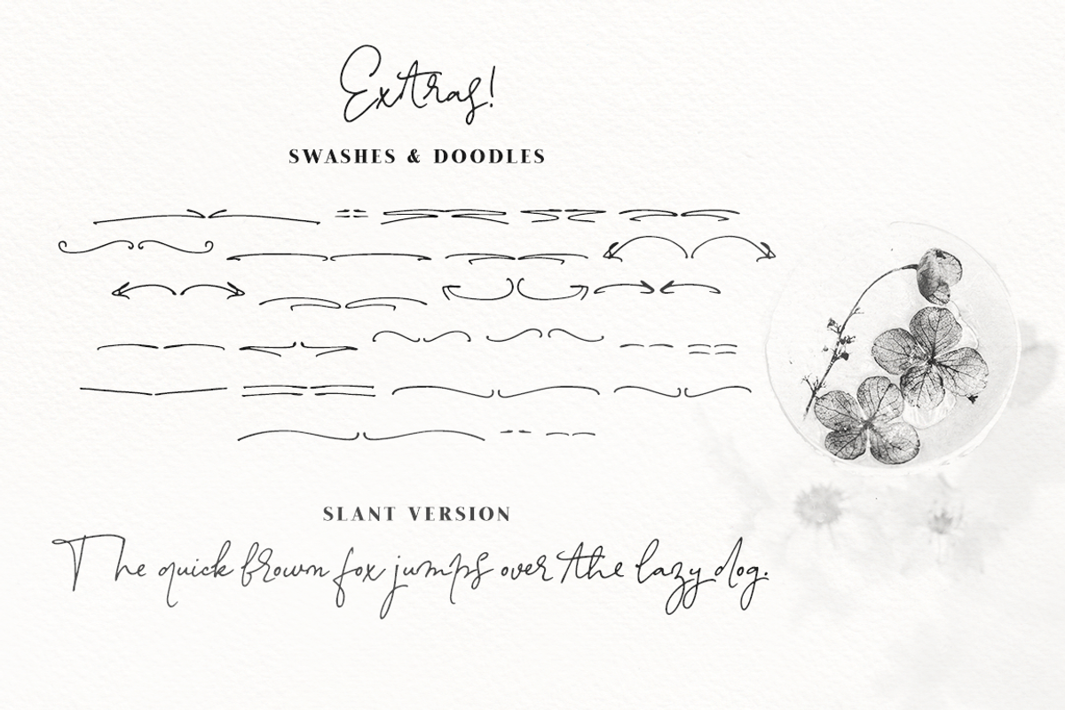 Unika Lite signature font, a Script Font by Ana's Fonts (Photo 9 of 10)