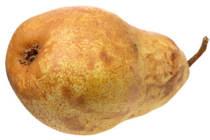 Ripe yellow pear with a characteristic shape and brown spots on, a Food & Drink Photo by ndanko