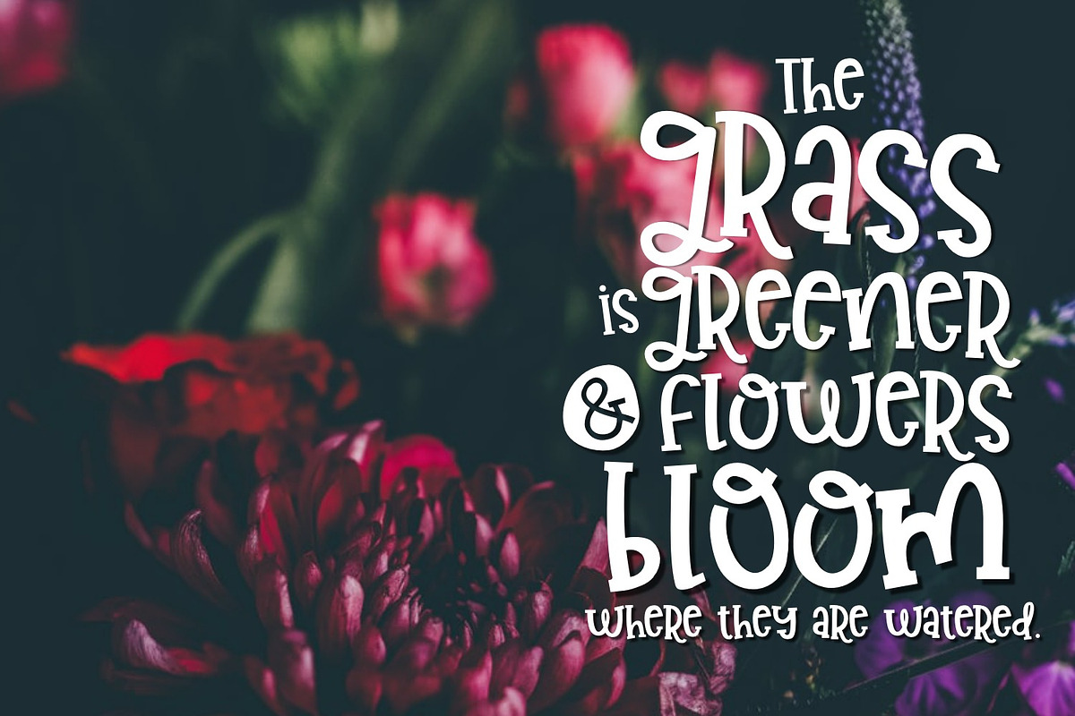 Garden Berries Handwritten Font preview 6