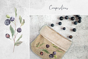 Forest huckleberry berries, a Food Illustration by MsFlaffy (Thumbnail 4 of 11)