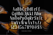 Focasio | Display Typeface, a Sans Serif Font by gracetype_studio (Thumbnail 10 of 12)