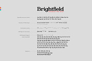 Brightfield Serif Font, a Serif Font by Cyritron (Thumbnail 4 of 12)