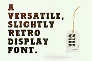 Pine Crest Rustic Serif Font, a Serif Font by Mystik Vision (Thumbnail 2 of 4)