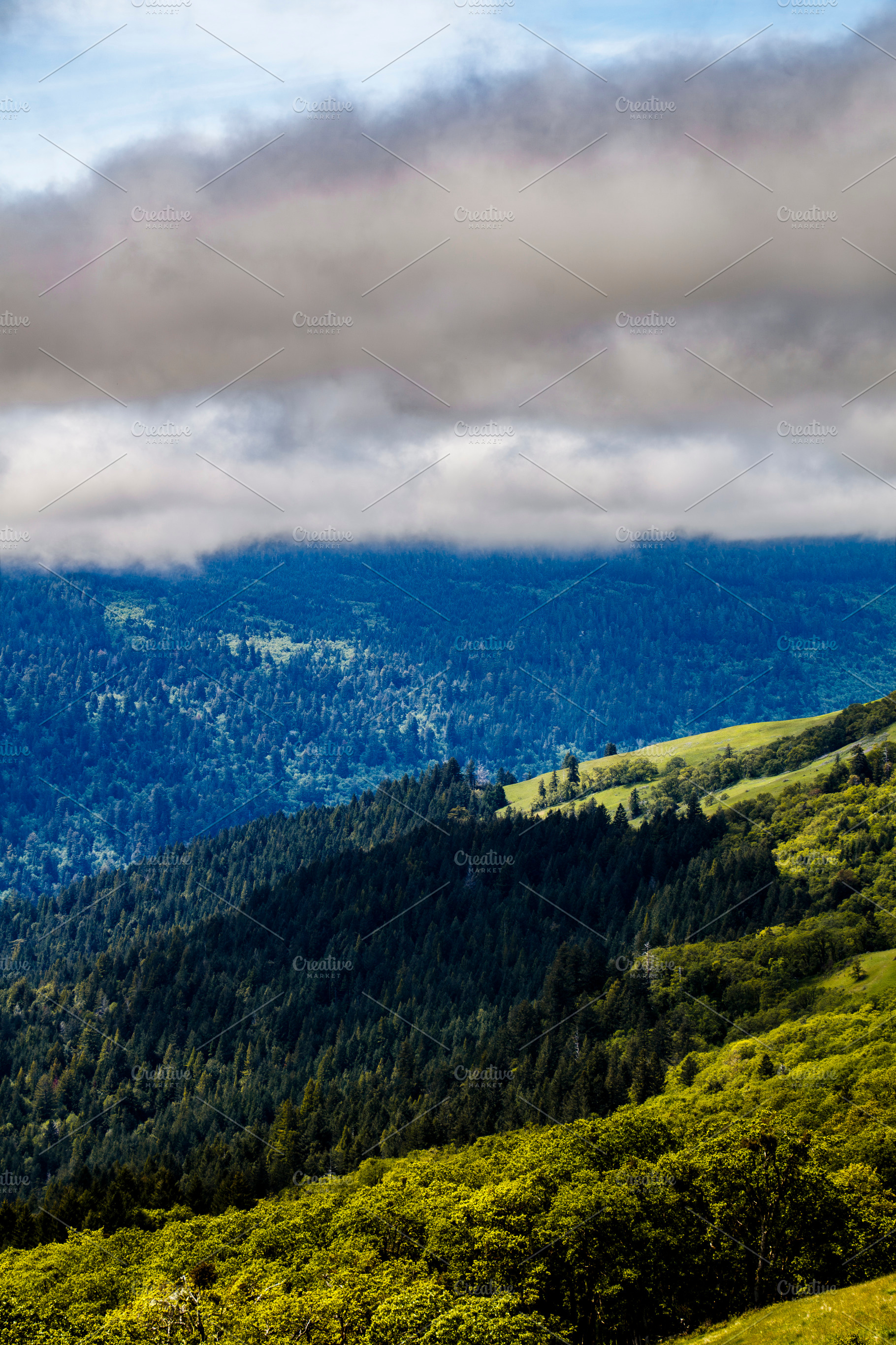 Fog Drifting Through the Bald Hills, a Nature Photo by Jillian Butolph