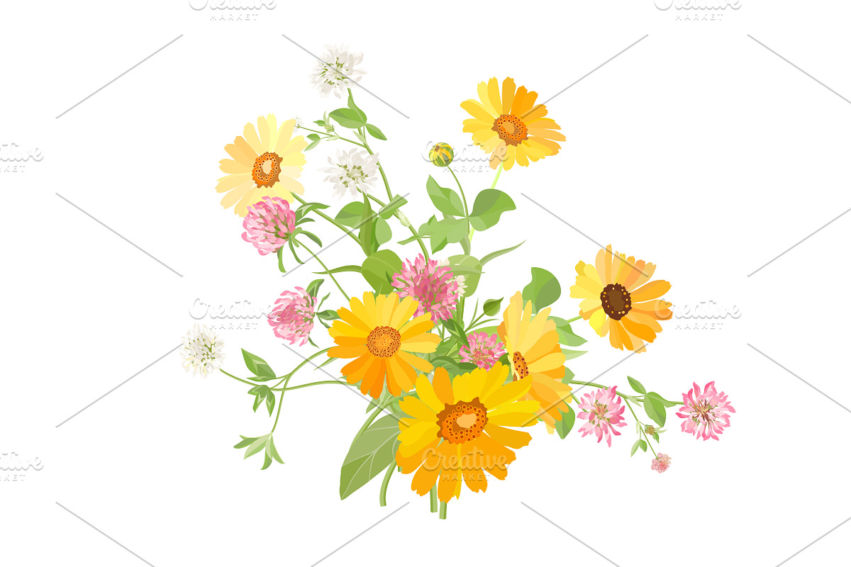 Vector object brushes. Calendula, a Brush Add-On by Peolla (Photo 16 of 16)
