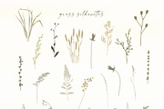Autumn sentiment - vector clipart, a Decorative Illustration by Vasmila (Thumbnail 8 of 14)