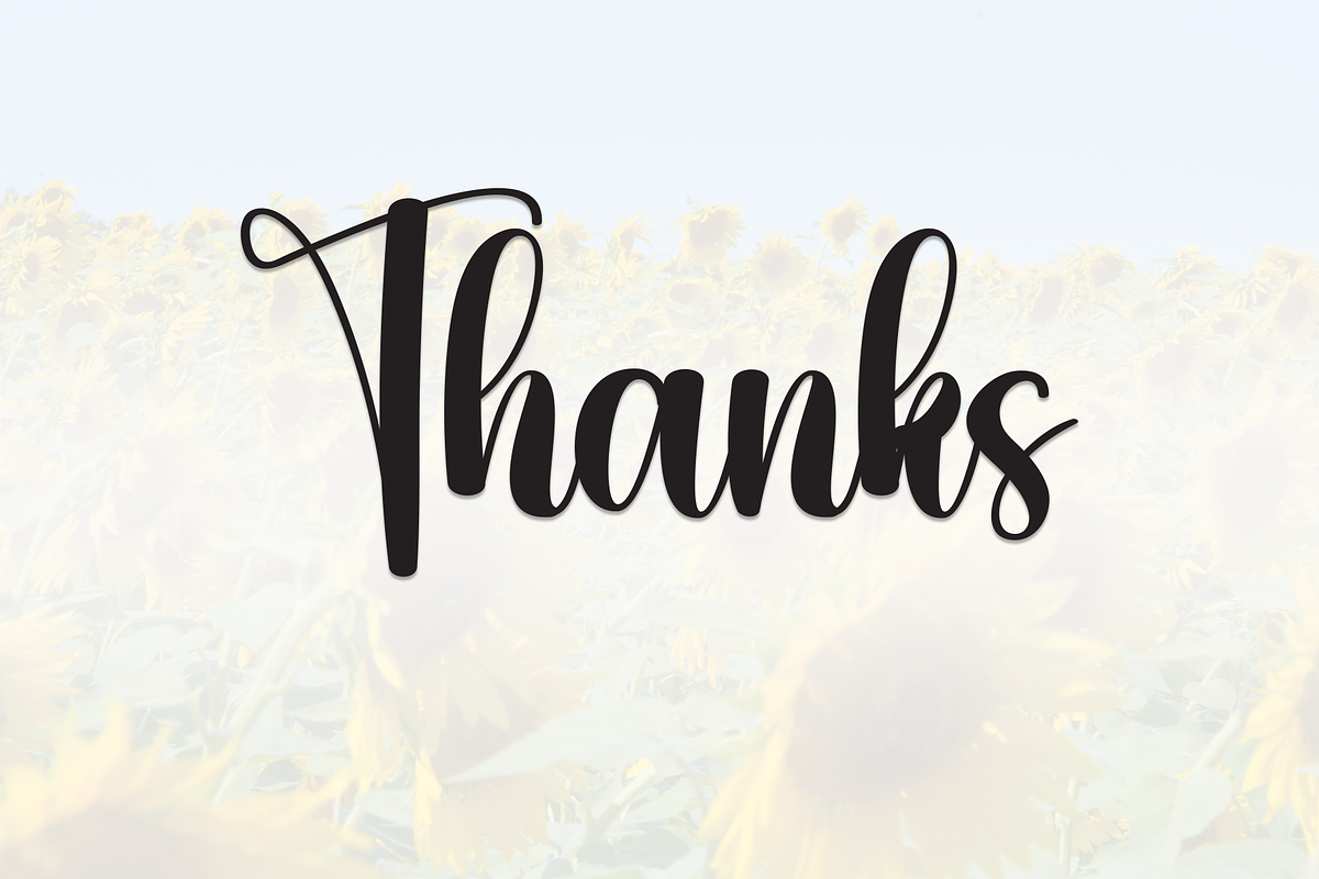 Sunflower | Script Font, a Handwritten Font by Scratchones (Photo 8 of 8)