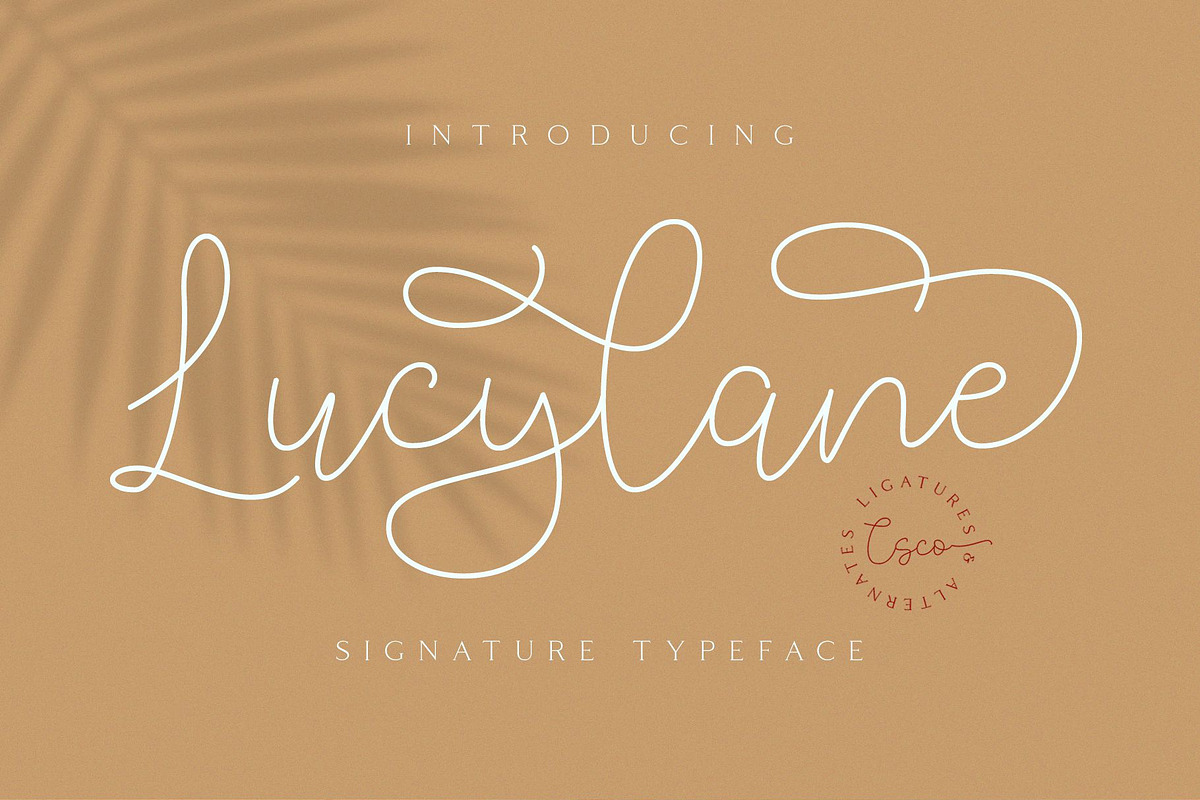 Lucylane - Signature Typeface, a Script Font by Craft Supply Co. (Photo 13 of 13)