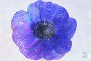 Handmade Colour Textures Volume 2, a Texture Graphic by MatildeGraphics (Thumbnail 4 of 5)