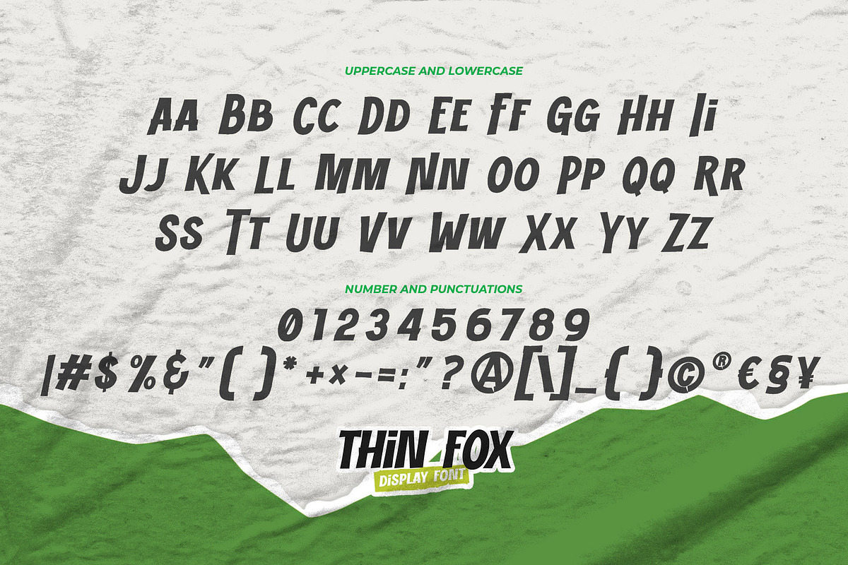 THIN FOX - Display Font, a Font by Gassstype (Photo 6 of 8)