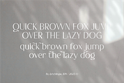 Angelica Nagita - Display Serif Font, a Serif Font by Artchitype Studio (Thumbnail 8 of 10)