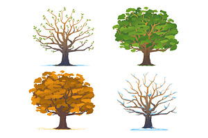 Set of oak tree in four seasons
