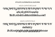 Welth Catritz - Classic Serif, a Serif Font by Typetemp Studio (Thumbnail 29 of 29)