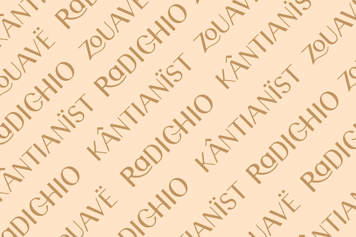 Maquna - Stylish Sans Serif Typeface, a Sans Serif Font by CCS Type (Photo 2 of 18)
