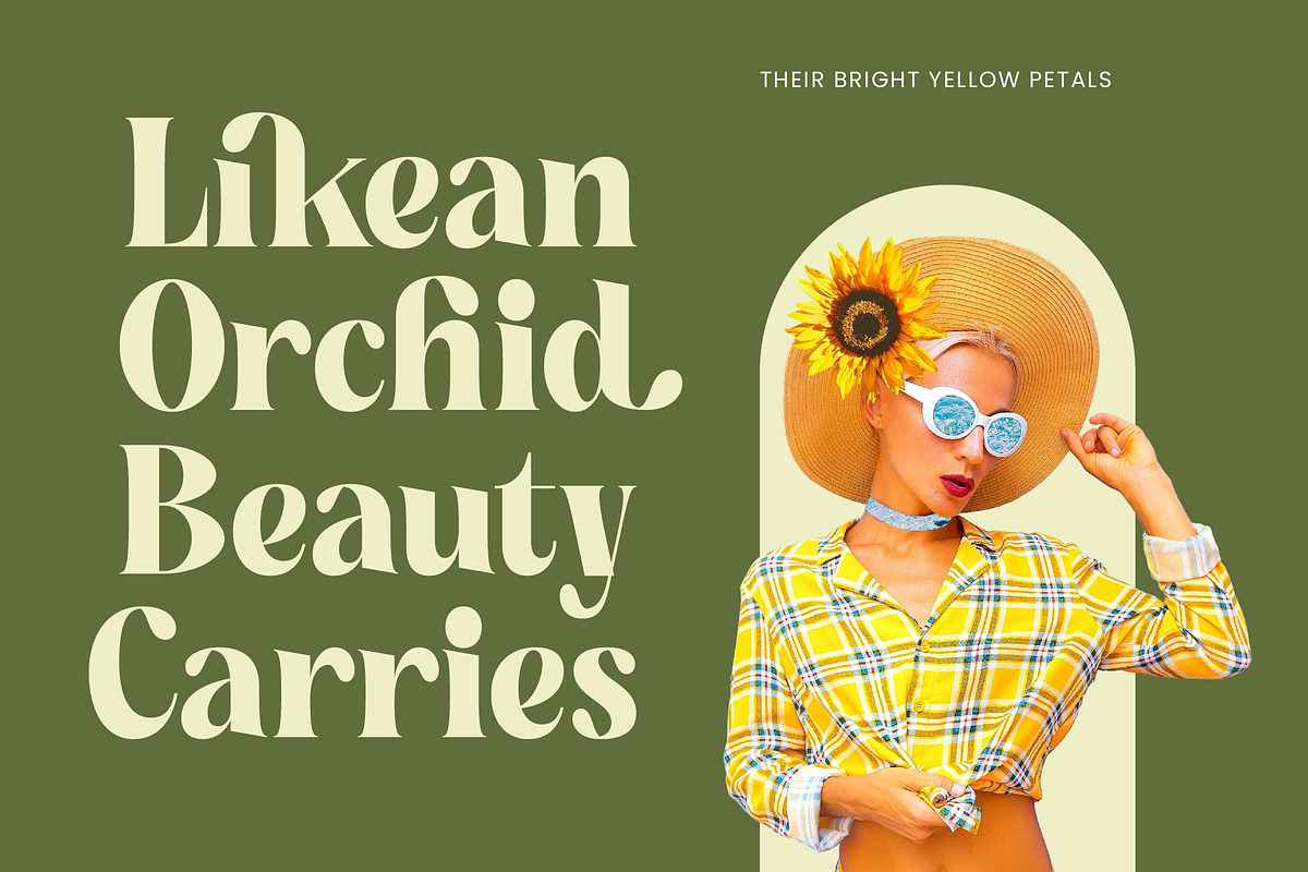 Buffery Reflika Modern Bold Serif, a Serif Font by timelesstype.co (Photo 16 of 20)
