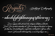 Brailganta Script, a Script Font by Strong.co (Thumbnail 3 of 12)