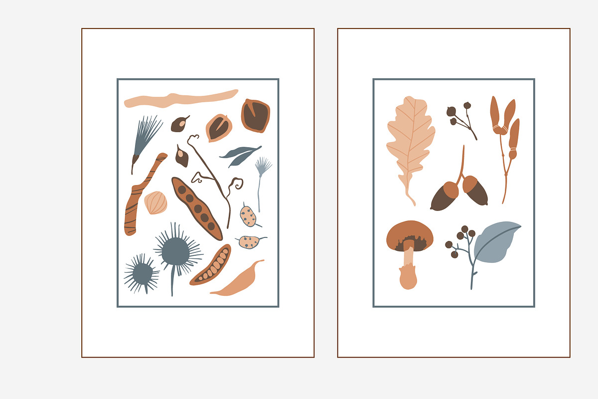 FOREST TREASURES big vector bundle, a Decorative Illustration by Lena Nikolaeva (Photo 15 of 16)