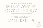 Simple Serenity Serif & Script, a Serif Font by Sam Parrett (Thumbnail 12 of 12)