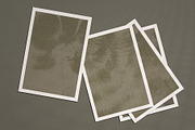 Faded Herbarium: Texture Backgrounds, a Texture Graphic by lerinartstudio (Thumbnail 11 of 13)