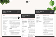 SALE Resume Template for MS Word, a Resume Template by GResume (Thumbnail 4 of 8)