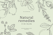 1500+ All Illustrations Bundle, a Decorative Illustration by Crocus Paperi (Thumbnail 8 of 25)