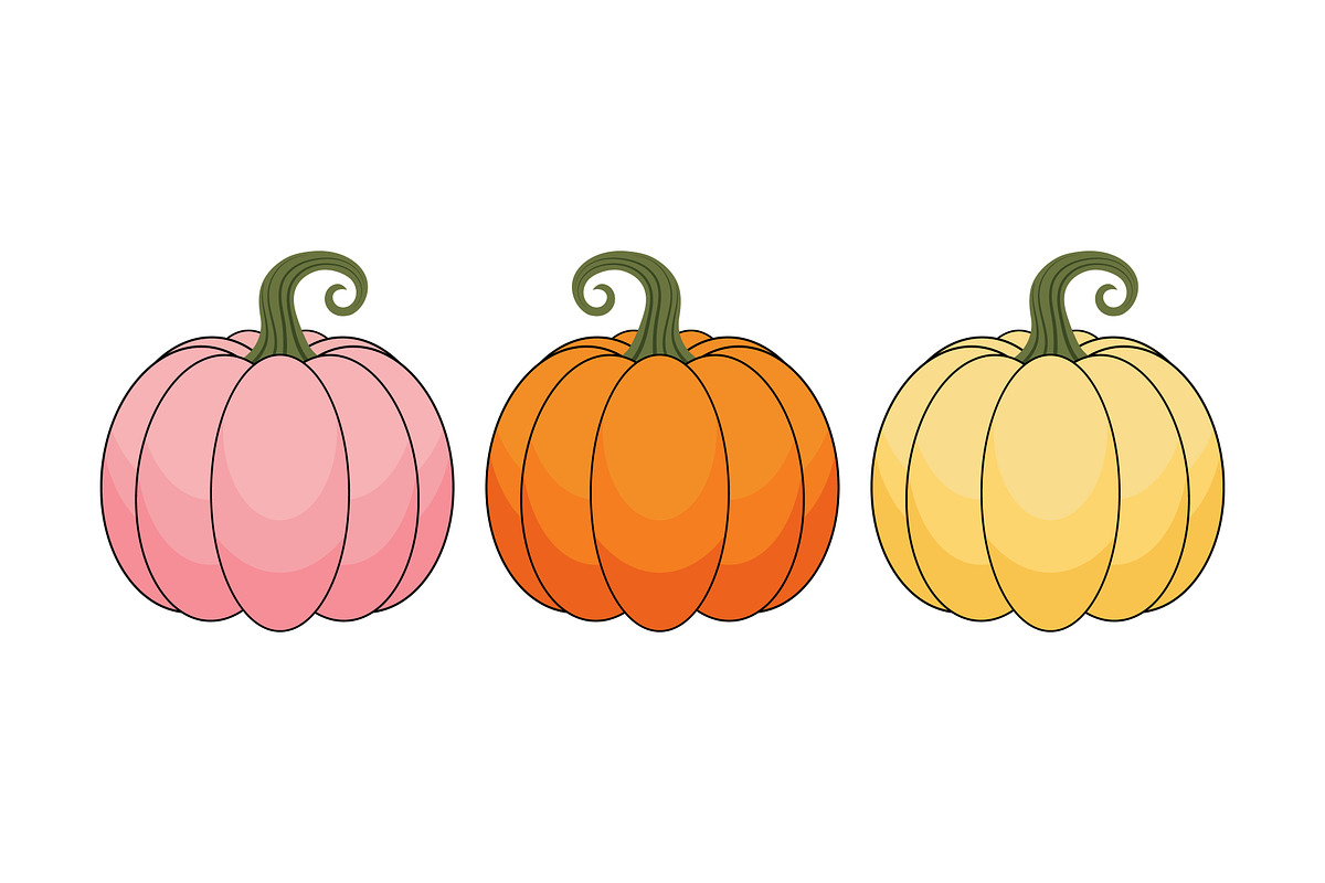 Harvest Pumpkin Variety Set vector, a Food Illustration by Unique Design Team