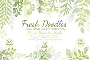 Leaves Branches & Herbs Fresh Doodle, a Decorative Illustration by antuanetto (Thumbnail 1 of 11)