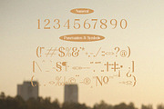 Papolina | Modern Serif Font, a Serif Font by Denustudios (Thumbnail 11 of 13)