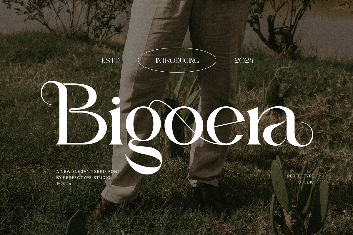 Bigorea Elegant Serif Font Typeface, a Serif Font by Perfectype (Photo 1 of 6)
