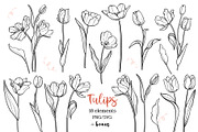 Tulip Line Art, Botanical SVG & PNG, an Object Graphic by ArtGiftsStudio (Thumbnail 1 of 6)