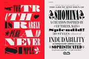 Shomina Font, a Serif Font by Cuchi, qué Tipo! Foundry (Thumbnail 20 of 21)