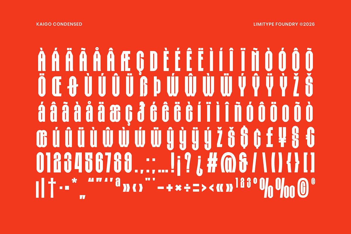 Kaigo - Bold Condensed Font, a Sans Serif Font by limitype (Photo 11 of 12)