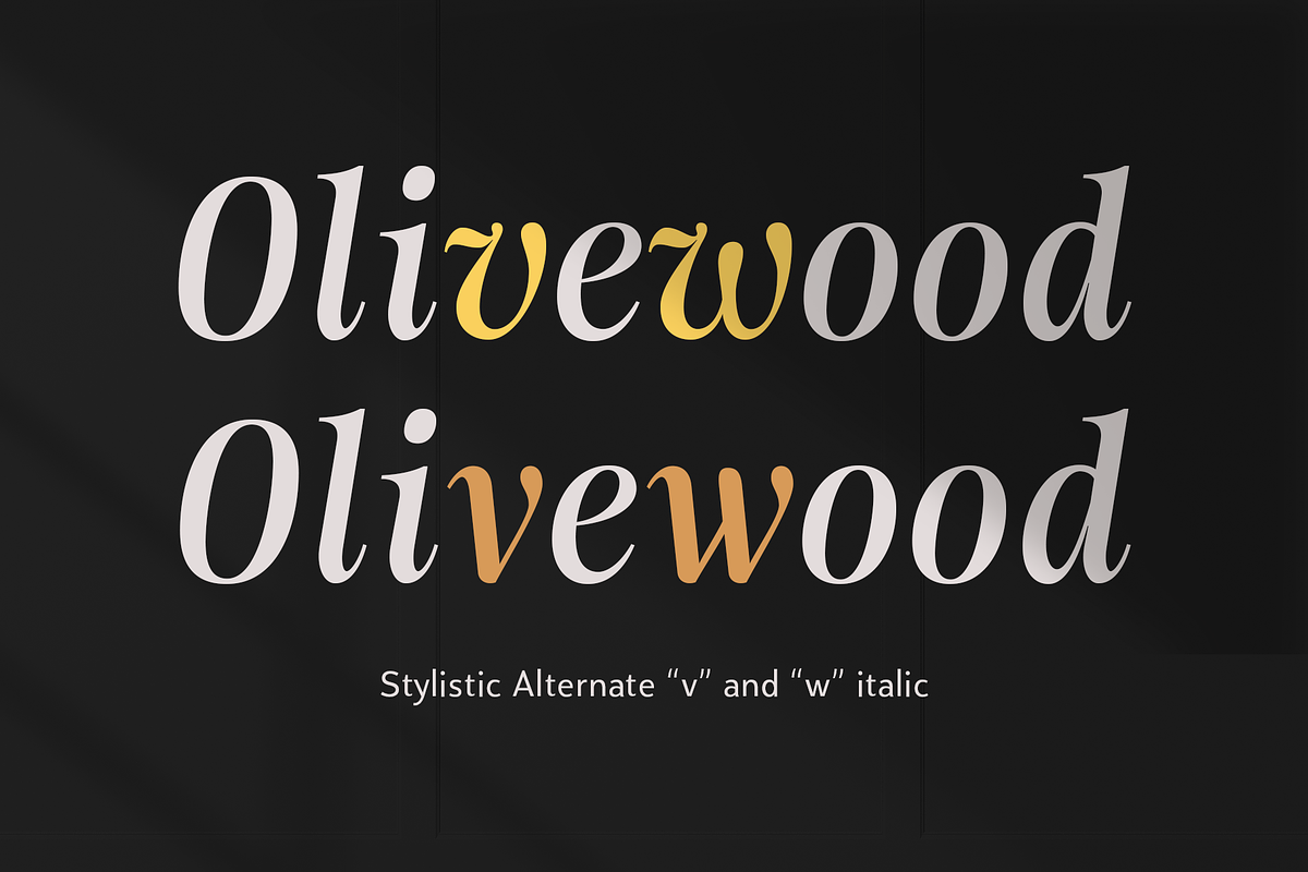 Moisette - 14 Fonts, a Serif Font by Nasir Udin (Photo 13 of 14)