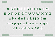 Carnivels Lights - Display Serif, a Serif Font by Typeparties (Thumbnail 9 of 9)