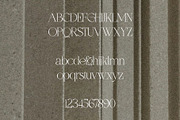 Gladiator - Chic Serif, a Serif Font by Mikhail Fukurou (Thumbnail 10 of 11)