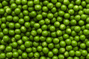 Close-up view of fresh green peas, a Food & Drink Photo by professorinc