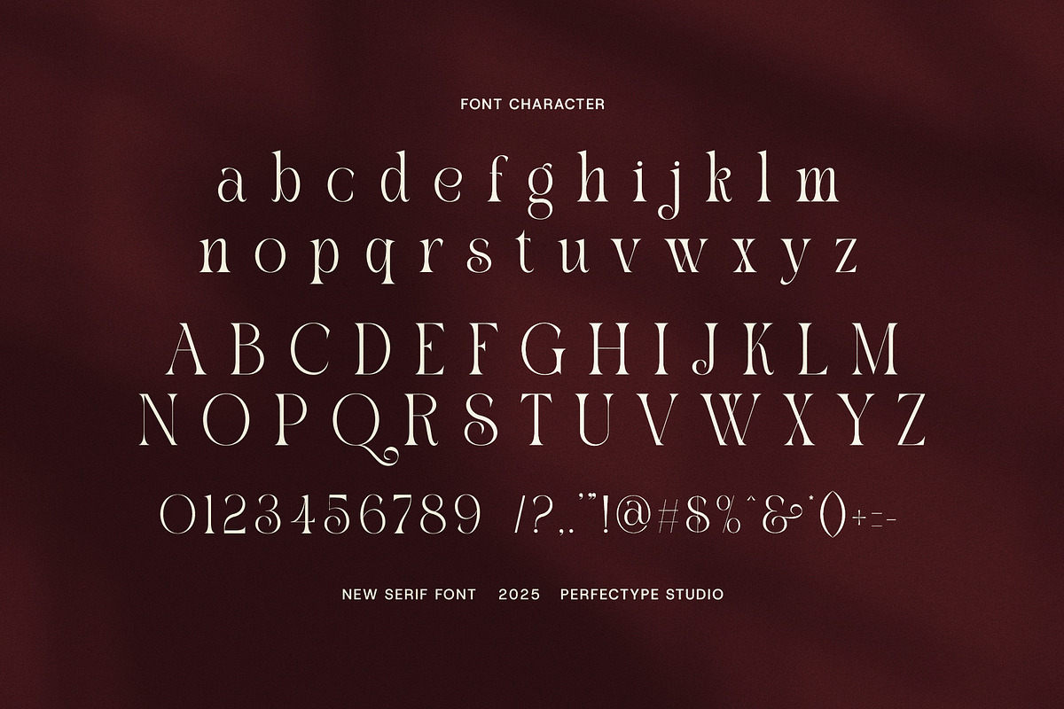Riukin Elegant Serif Font, a Serif Font by Perfectype (Photo 6 of 8)