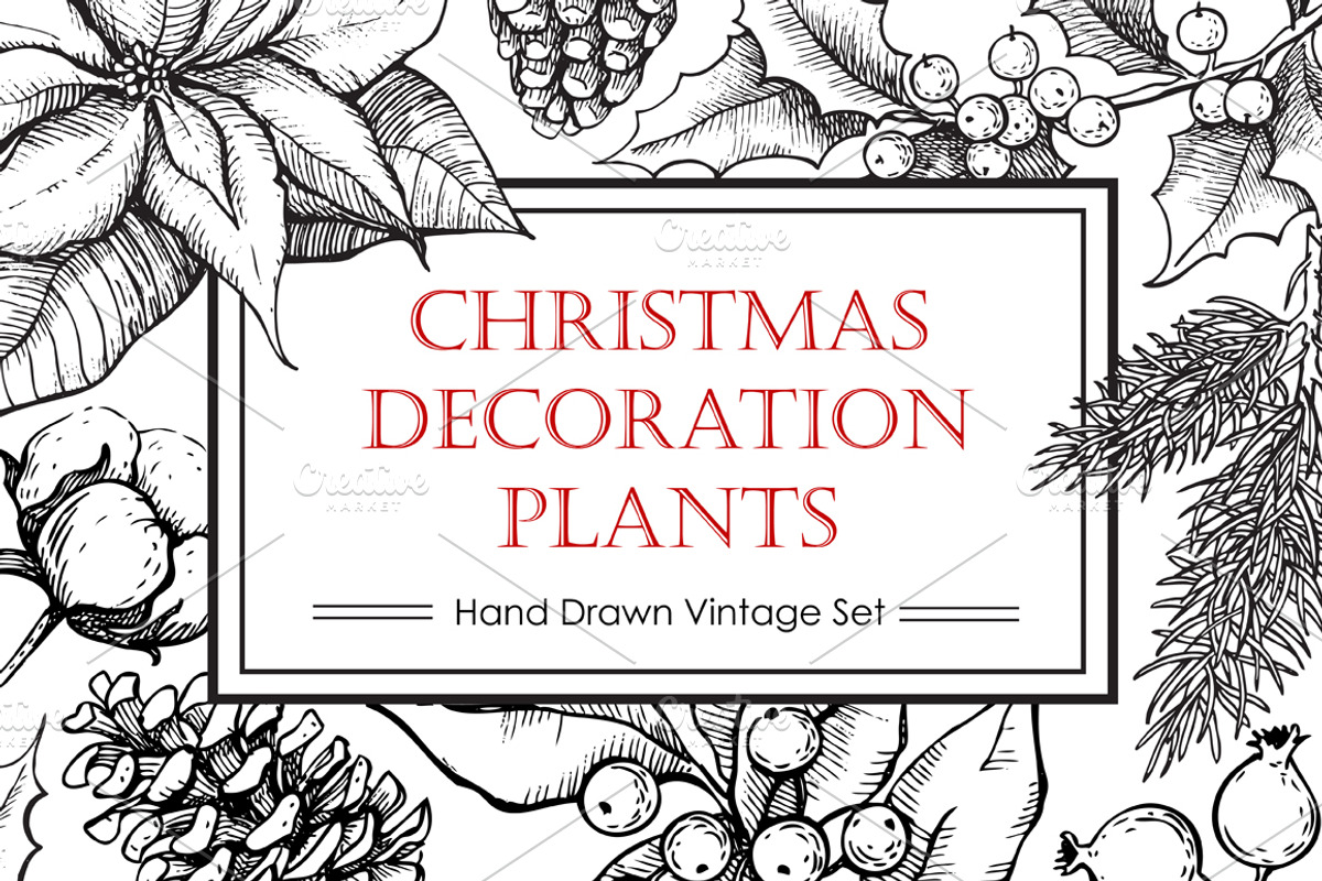 Hand Drawn Christmas Plants., a Decorative Illustration by Epine (Photo 1 of 3)