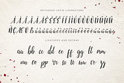 Emellie Script Font, a Script Font by Design Panoply (Thumbnail 4 of 8)